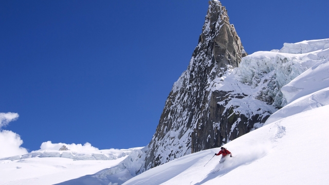 星空体育：成为花园大师：学会种植绿化草坪创造迷人的私人花园！